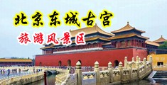 黑丝美穴中国北京-东城古宫旅游风景区